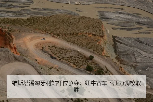 维斯塔潘匈牙利站杆位争夺：红牛赛车下压力调校取胜