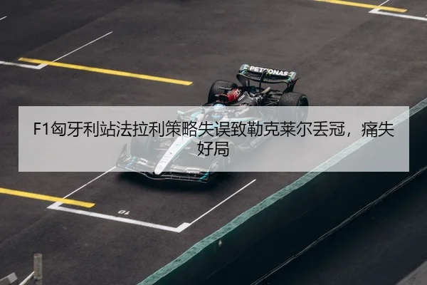 xiong-ya-li-zhan-fa-la-li-ce-lve-shi-wu-zhi-lei-ke-lai-er-diu-guan-tong-shi-hao-ju-3-388.jpg